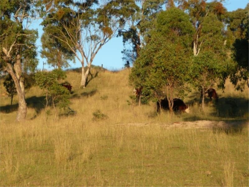 Lot 13 Saxby Road, Ballandean via, Stanthorpe QLD 4380