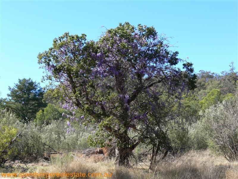 27779 New England Highway, Ballandean QLD 4382