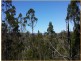 Lot 3 Yarrabee Lane NUNDUBBERMERE via, Stanthorpe QLD 4380