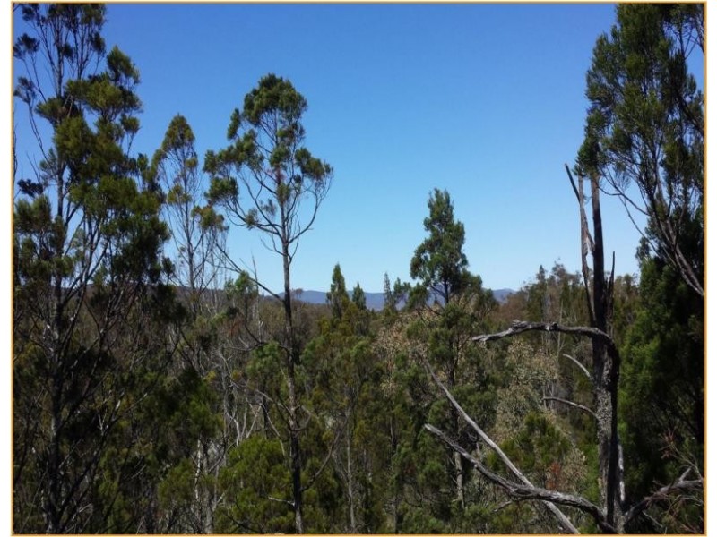 Lot 3 Yarrabee Lane NUNDUBBERMERE via, Stanthorpe QLD 4380