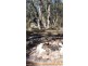 Lot 3 Yarrabee Lane NUNDUBBERMERE via, Stanthorpe QLD 4380