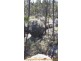 Lot 3 Yarrabee Lane NUNDUBBERMERE via, Stanthorpe QLD 4380