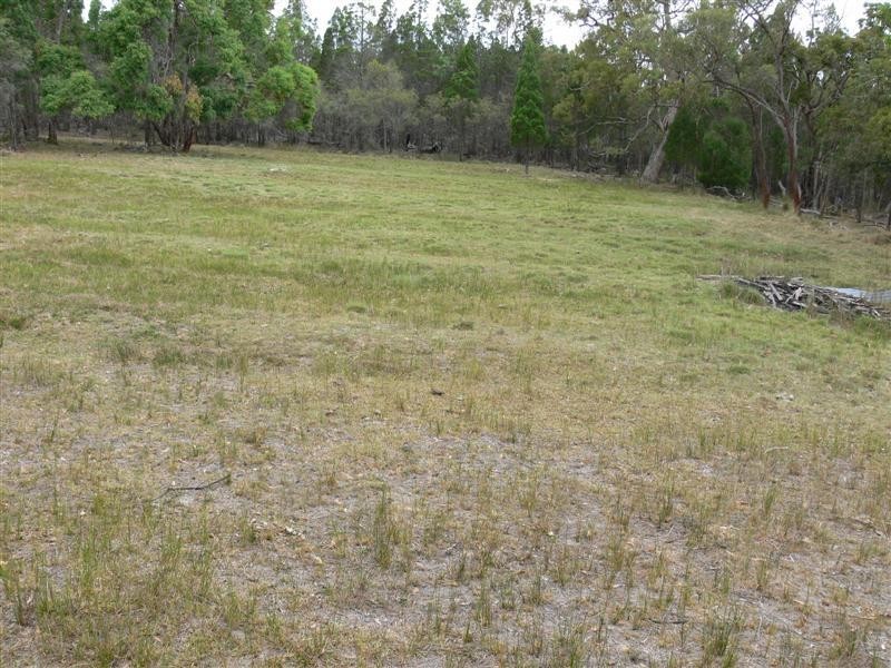 36 Clark Lane, Broadwater QLD 4380