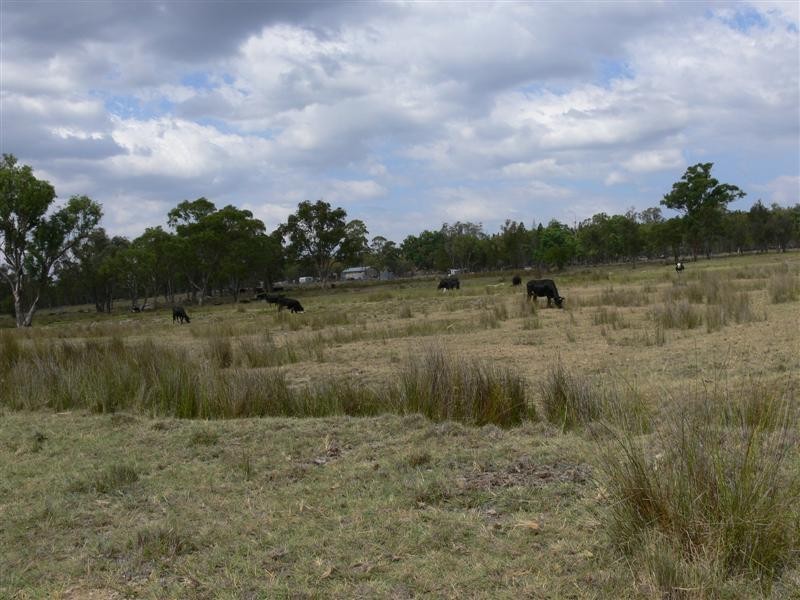 36 Clark Lane, Broadwater QLD 4380