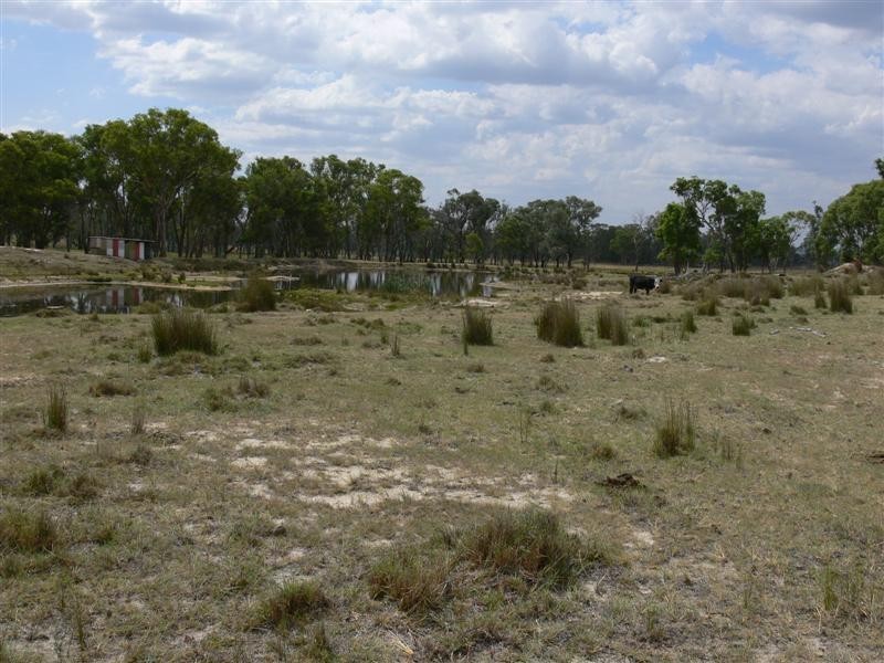 36 Clark Lane, Broadwater QLD 4380