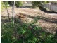 58 Greenup Street, Stanthorpe QLD 4380