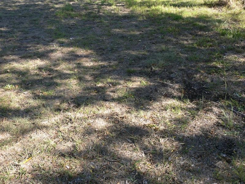 58 Greenup Street, Stanthorpe QLD 4380