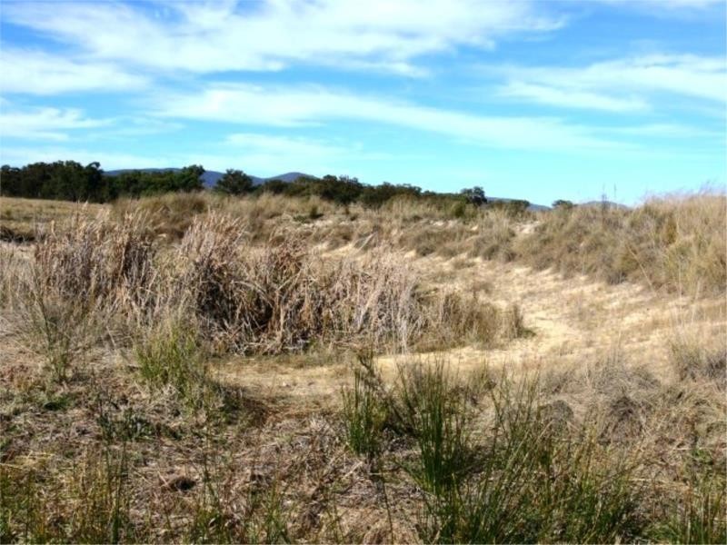 Lot 1 Pine Grove Road, Ballandean QLD 4382