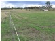 Lot 1 Pine Grove Road, Ballandean QLD 4382