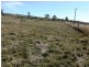Lot 1 Pine Grove Road, Ballandean QLD 4382