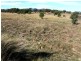 Lot 1 Pine Grove Road, Ballandean QLD 4382