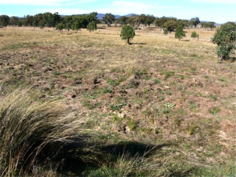 Lot 1 Pine Grove Road, Ballandean QLD 4382