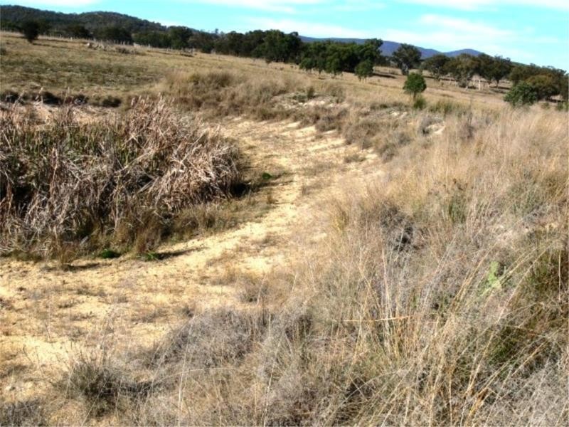 Lot 1 Pine Grove Road, Ballandean QLD 4382