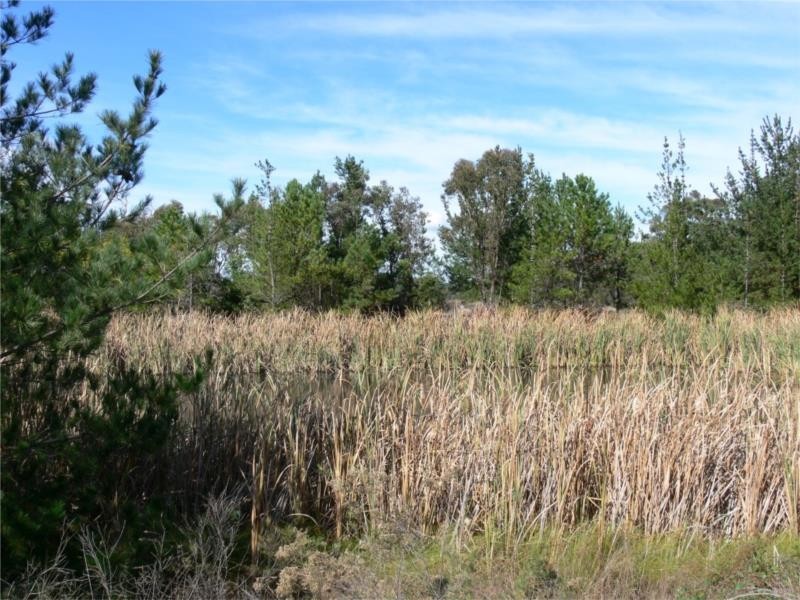 Lot 147 Watson Road, Cottonvale via, Stanthorpe QLD 4380