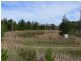 Lot 147 Watson Road, Cottonvale via, Stanthorpe QLD 4380