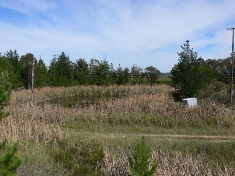 Lot 147 Watson Road, Cottonvale via, Stanthorpe QLD 4380