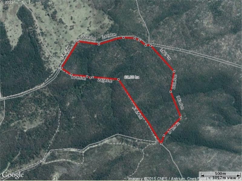 Lot 1 DP792282, (Liston/Undercliffe/Rivertree NSW) via, Stanthorpe QLD 4380