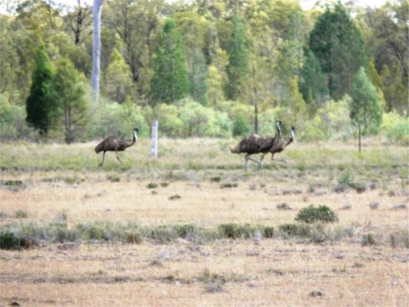 1502 Bruxner Hwy (Lot 16), Texas QLD 4385