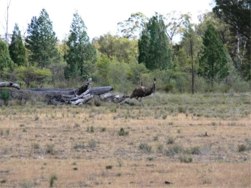 1502 Bruxner Hwy (Lot 16), Texas QLD 4385