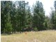 Lot 244 Radiata Close, Stanthorpe QLD 4380