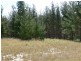 Lot 244 Radiata Close, Stanthorpe QLD 4380