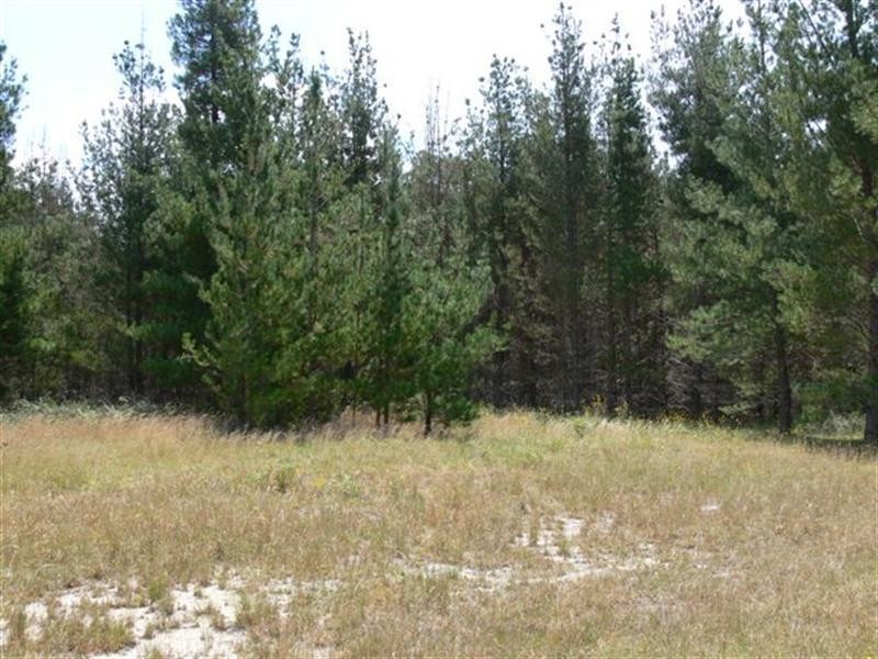 Lot 244 Radiata Close, Stanthorpe QLD 4380