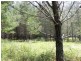 Lot 244 Radiata Close, Stanthorpe QLD 4380