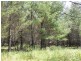 Lot 244 Radiata Close, Stanthorpe QLD 4380