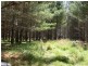Lot 244 Radiata Close, Stanthorpe QLD 4380