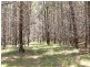 Lot 244 Radiata Close, Stanthorpe QLD 4380