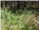 Lot 244 Radiata Close, Stanthorpe QLD 4380