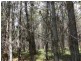 Lot 244 Radiata Close, Stanthorpe QLD 4380