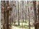 Lot 244 Radiata Close, Stanthorpe QLD 4380