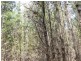 Lot 244 Radiata Close, Stanthorpe QLD 4380
