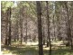 Lot 244 Radiata Close, Stanthorpe QLD 4380