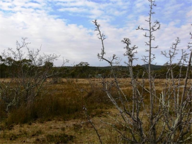 214 Kerridges Road, Glen Aplin QLD 4381