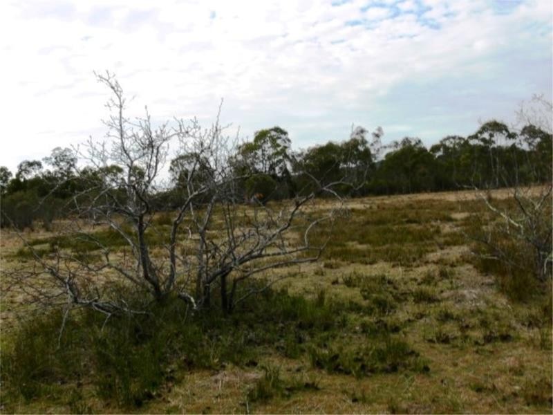 214 Kerridges Road, Glen Aplin QLD 4381