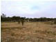 214 Kerridges Road, Glen Aplin QLD 4381