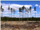 Lot 210 Central Road, Stanthorpe QLD 4380