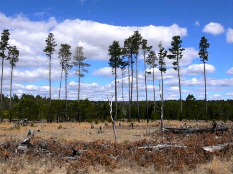 Lot 210 Central Road, Stanthorpe QLD 4380
