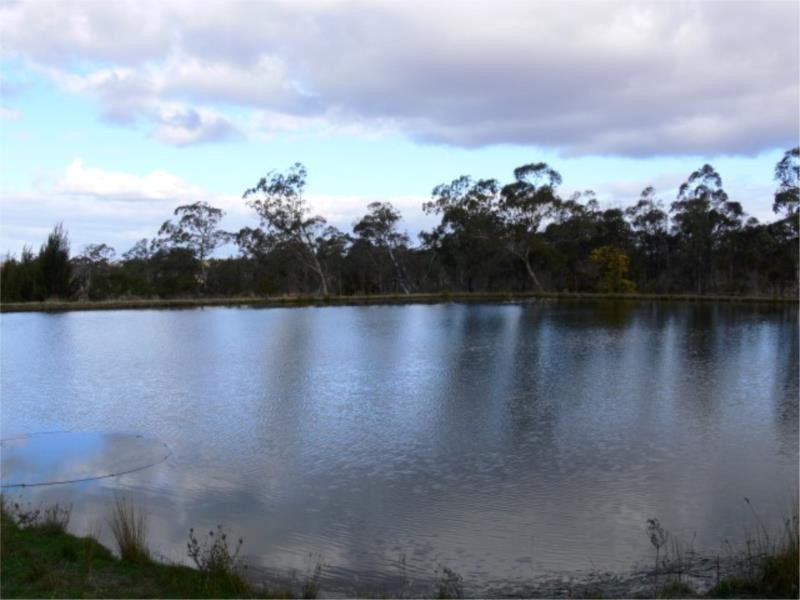 Lot 20 Bau Court, Stanthorpe QLD 4380