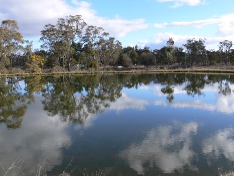 Lot 20 Bau Court, Stanthorpe QLD 4380