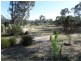 Lot 54 Sanderson Road, Stanthorpe QLD 4380