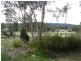 Lot 54 Sanderson Road, Stanthorpe QLD 4380