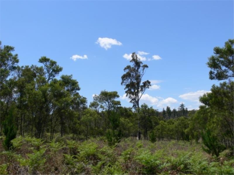 Lot 171 South Drive, Sugarloaf via, Stanthorpe QLD 4380