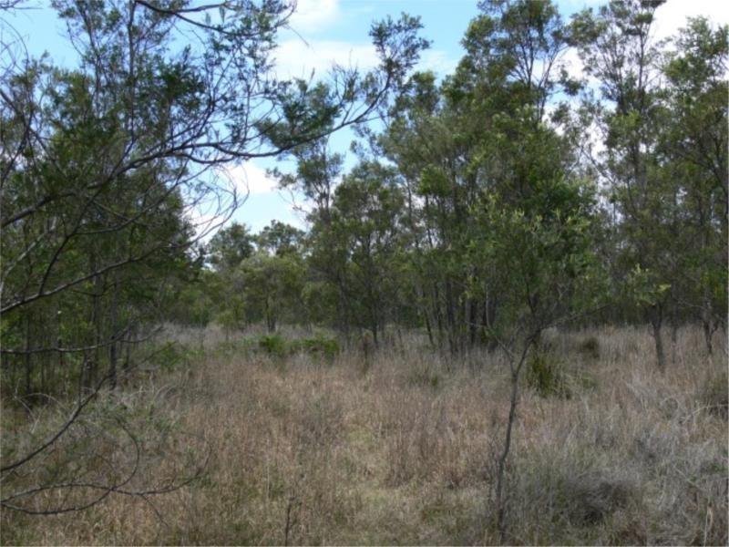 Lot 171 South Drive, Sugarloaf via, Stanthorpe QLD 4380