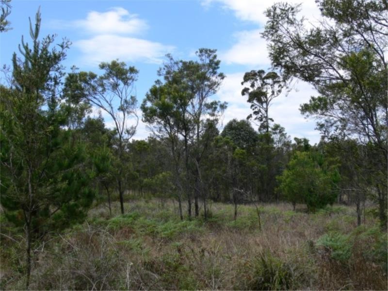Lot 171 South Drive, Sugarloaf via, Stanthorpe QLD 4380