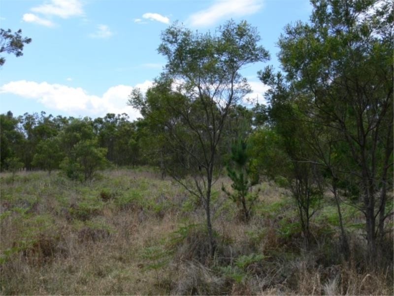Lot 171 South Drive, Sugarloaf via, Stanthorpe QLD 4380