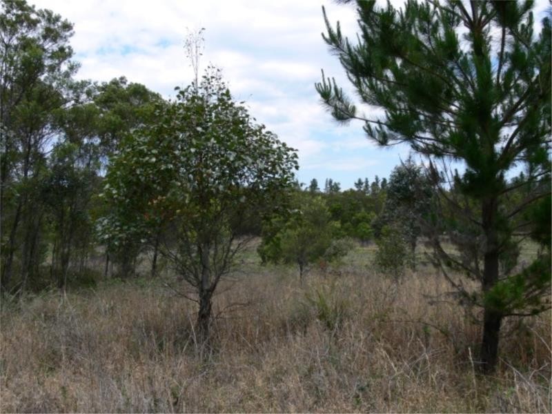 Lot 171 South Drive, Sugarloaf via, Stanthorpe QLD 4380