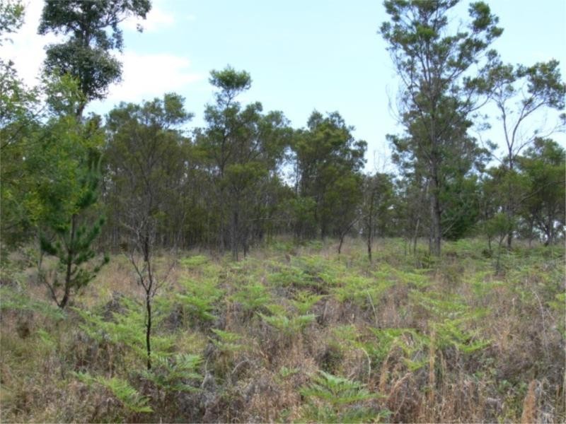 Lot 171 South Drive, Sugarloaf via, Stanthorpe QLD 4380